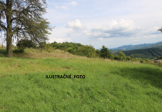 PREDAJ - PODIEL LESNÉHO POZEMKU - JASENOVÉ 6€/m2