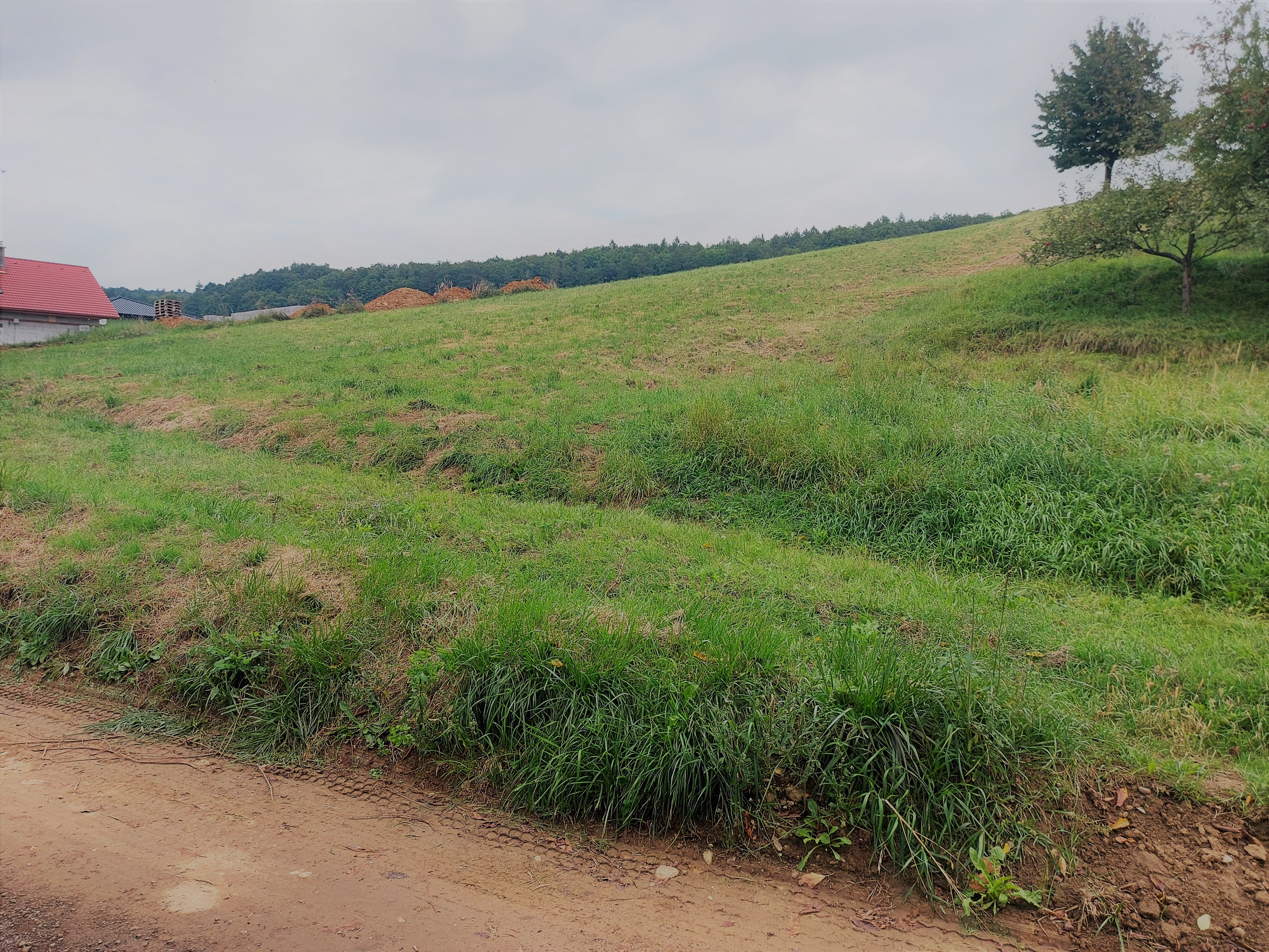 PREDAJ: INVESTÍCIA - POZEMOK - PRUSKÉ  2258 m2