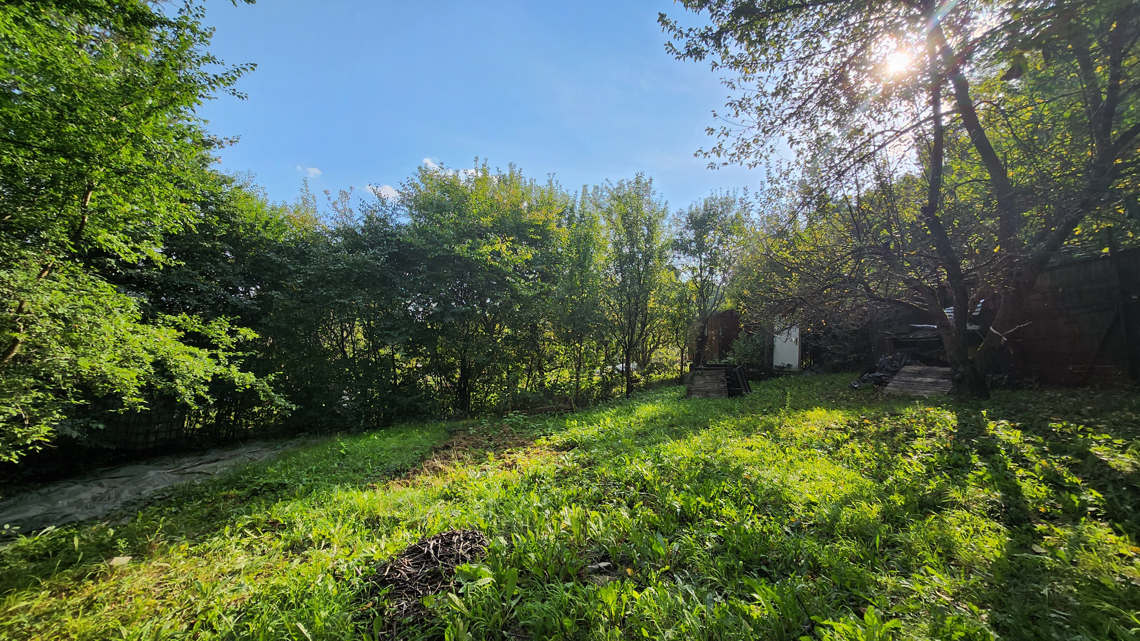 Predaj záhrady, Martin - , Cena: 19.000€