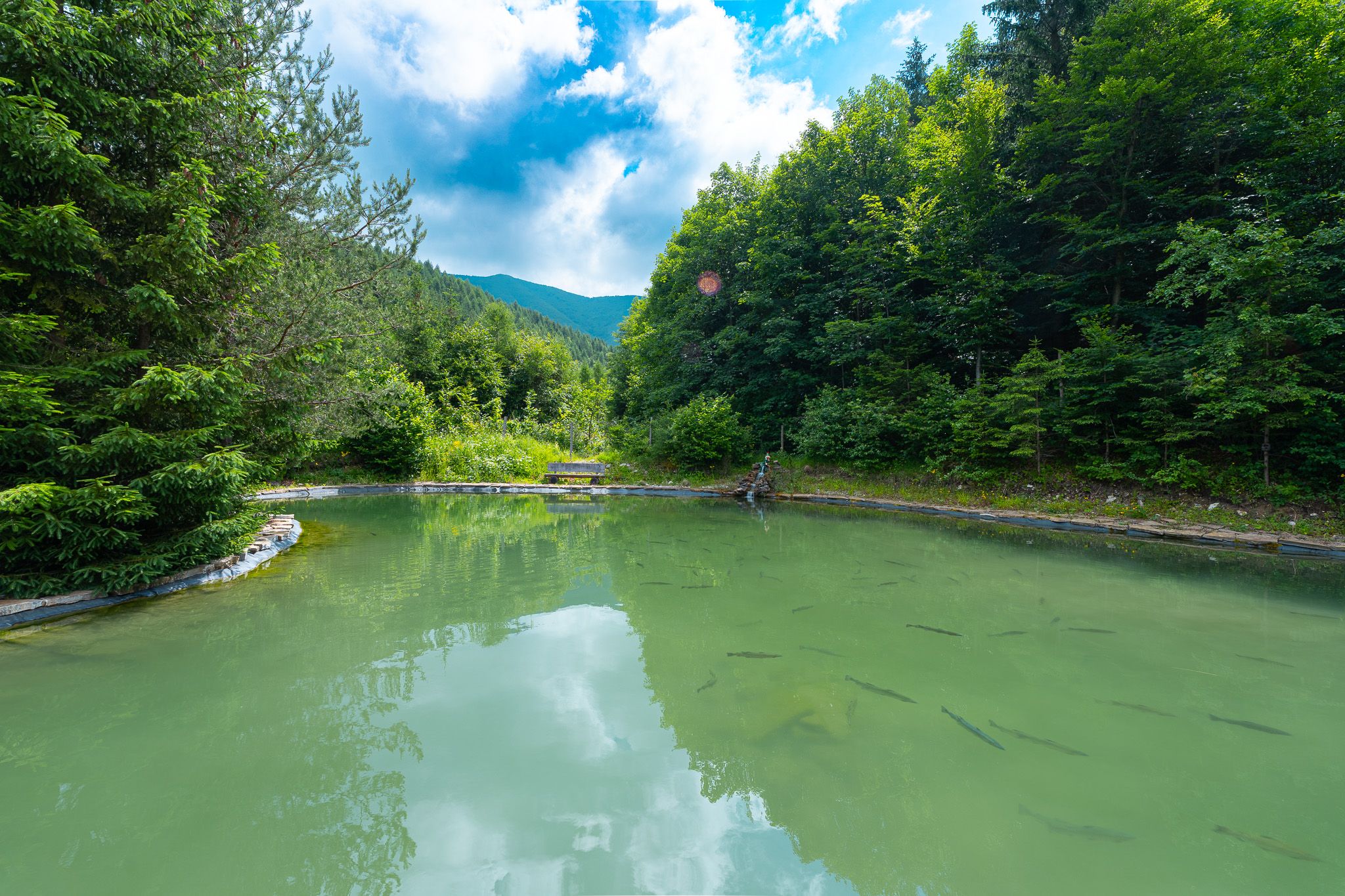 Bývajte alebo podnikajte v srdci prírody