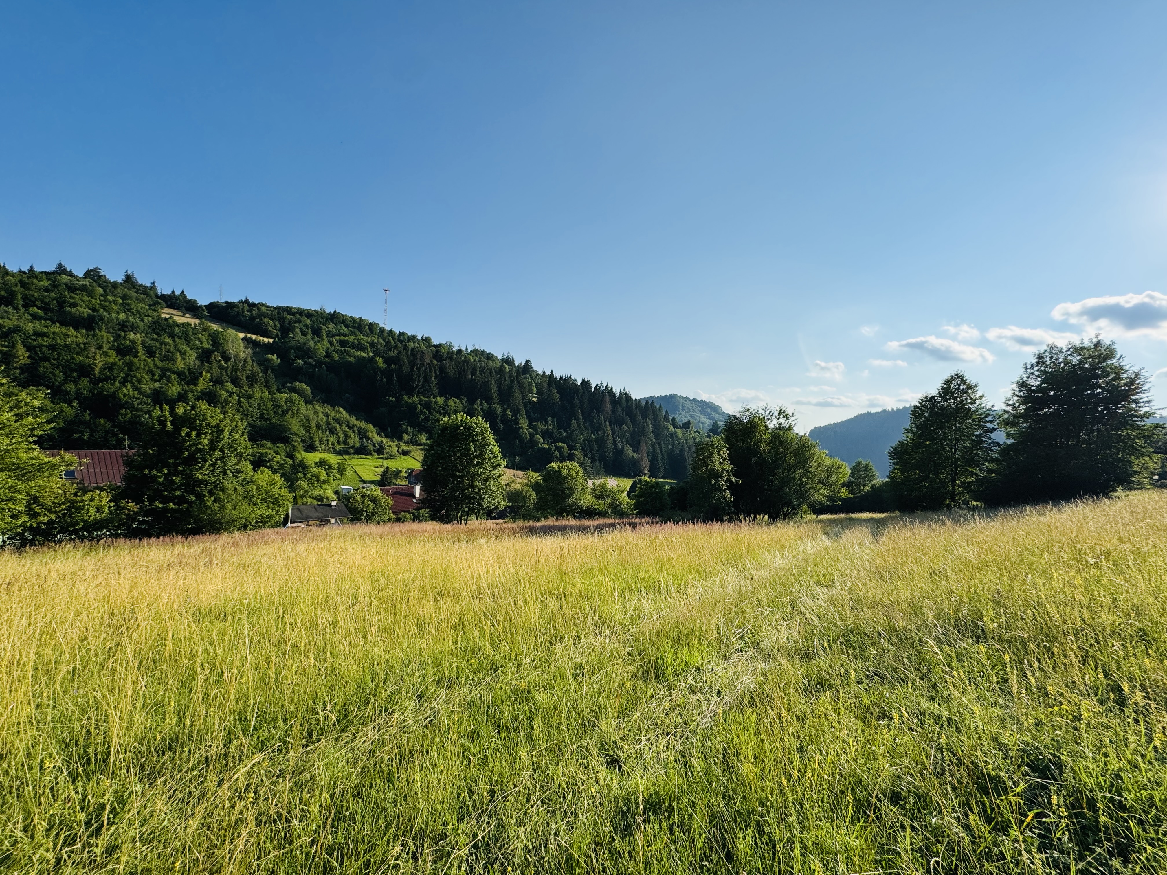 POZEMOK S VÍZIOU 6 000 m2 LEN PÁR MINÚT OD ŽILINY V DIVINKE, LALINOK